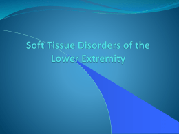 Lower_Extremity_Soft_Tissue_Disorders