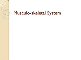 Musculo-skeletal system - Teachnet UK-home