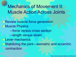 Mechanics of Movement II: Making joints move