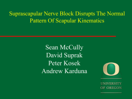 The Normal Pattern of Three Dimensional Scapular Kinematics