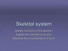 Skeletal system - s3.amazonaws.com