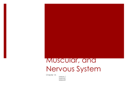 Unit 5 Skeletal, Muscular, and Nervous System