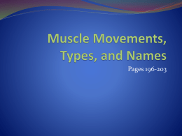 Ch 6 Movements-Muscle Types-Names