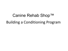 Building a Conditioning Program