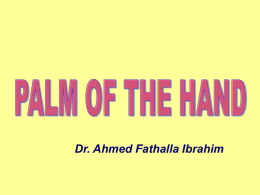 11-Palm_of_the_Hand