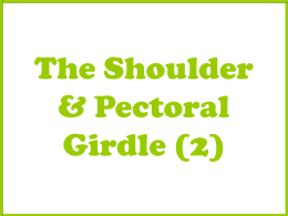 Apley`s Book, The Shoulder & Pectoral Girdle