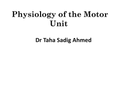 Lecture3 - Motor Unit