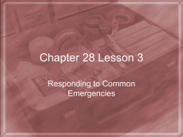 Chapter 28 Lesson 3