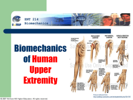 Biomechanics of Human Upper Extremity