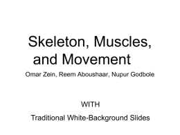 Skeletal and muscular systems[1]