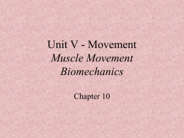 Muscle Movement Biomechanics