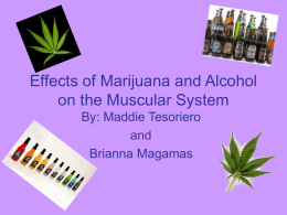 Effects of Marijuana and Alcohol on the Muscular