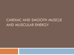 Muscular Energy