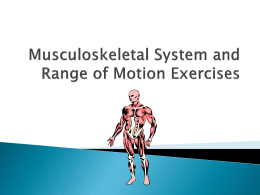 Musculoskeletal System and Range of Motion Exercises