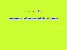 Assessment of musculo