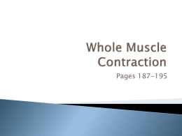 Ch 6 Whole Muscle Contraction