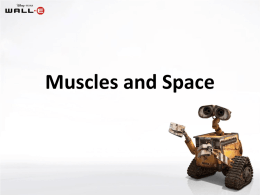 Muscles and Space