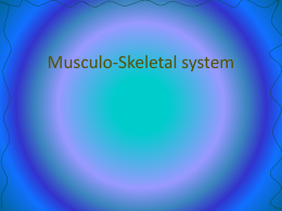 Muscles and Skeletal Systems