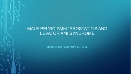 Male Pelvic pain *Prostatis and Levator Ani Syndrome