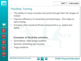 v_flexibility training