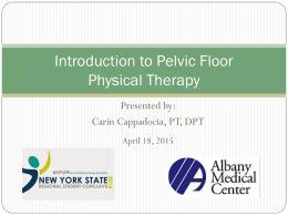 Introduction to the Pelvic Floor