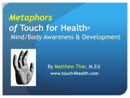 TFH Metaphor - Touch for Health Nederland