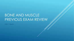 Bone and Muscle Previous Exam Review