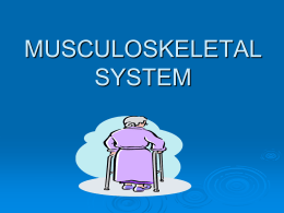 Musculoskeletal Powerpoint