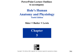 BIOL-2401-Holes-chapt05_lecture