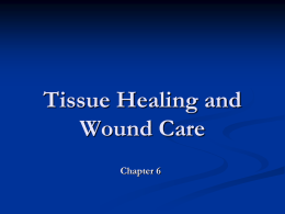 Ch 6 - Tissue Healing and Wound Care