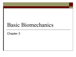 Basic Biomechanics - S1 Keperawatan UMM