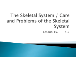 The Skeletal System / Care and Problems of the Skeletal