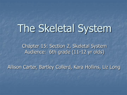 The Skeletal System: Power Point Presentation