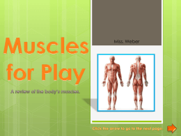 Muscles for Play