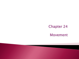 Chapter 24 Movement