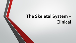 The Skeletal System * Clinical