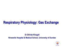 Respiratory Physiology – Gas Exchange