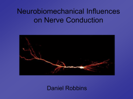 Neurobiomechanical Influences on Nerve Conduction
