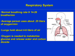 respiratory powerpoint