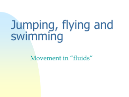 Jumping and flying