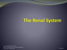 Renal system1
