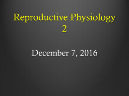 PowerPoint - Pitt Honors Human Physiology