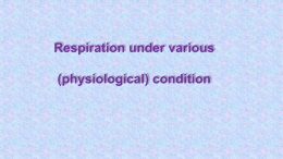 Respiration under various condition
