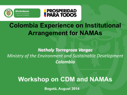 Colombia`s national institutional arrangements