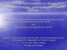 Endogenous Technologies for Adaptation to Climate Change