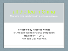 All the tea in China Modeling crop production in