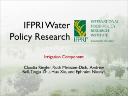 IFPRI SRP Irrigation Presentation