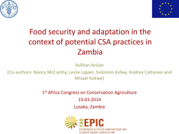Food security and adaptation in the context of potential CSA