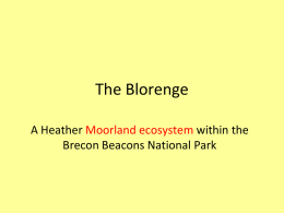 The Blorenge