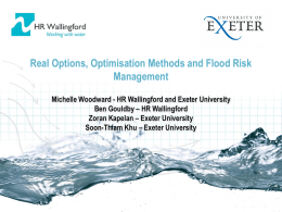 Real Options, Optimisation Methods and Flood Risk